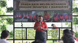 Momen TNI AL Komandan Brigif-4 mar/BS Panen Melon hingga Ikan Buat Penuhi Gizi Prajurit