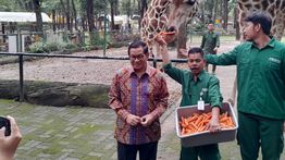 Pramono Mau Benahi Ragunan, Jadikan Lebih Menarik dan Nyaman