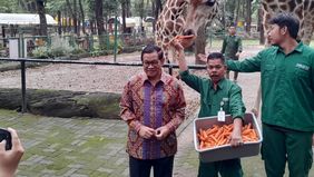 Gubernur DKI Jakarta, Pramono Anung menyampaikan akan melakukan pembenahan di Taman Margasatwa Ragunan, Jakarta Selatan agar menjadi destinasi wisata alam yang lebih menarik, nyaman, aman, dan berkualitas.