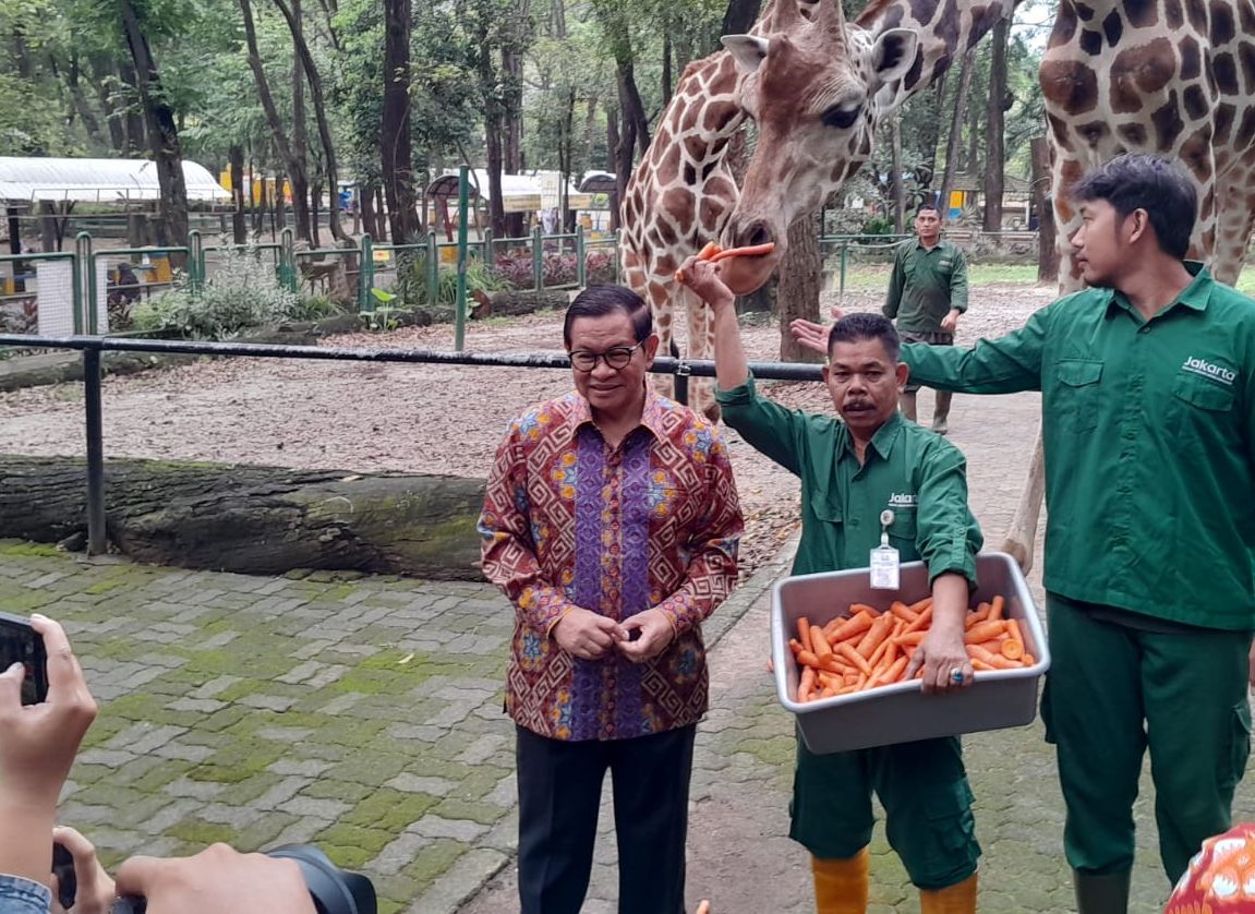 Pramono Anung <b>(NTVNews.id/ Adiansyah)</b>