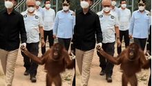Apresiasi Wapres Gibran, Aktivis Dorong Langkah Konkret untuk Habitat Satwa