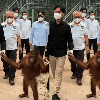 Apresiasi Wapres Gibran, Aktivis Dorong Langkah Konkret untuk Habitat Satwa