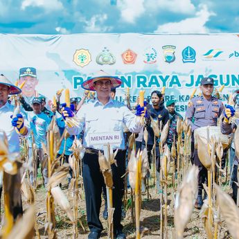 Pemerintah Siapkan Rp5 Triliun Untuk Serap 1 Juta Ton Jagung dari Petani