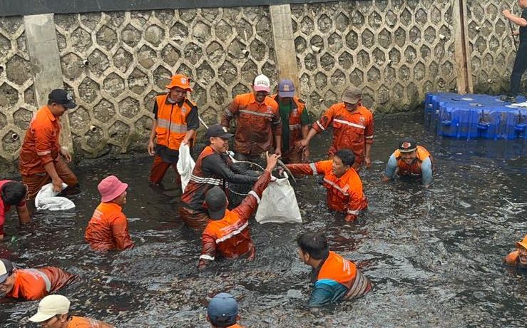 Penangkapan ikan sapu-sapu <b>(NTVNews.id/Adiansyah)</b>
