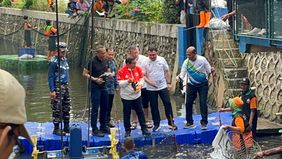 Gubernur DKI Jakarta, Pramono Anung meninjau langsung gerakan penangkapan ikan sapu-sapu di kawasan Kelapa Gading, Jakarta Utara.