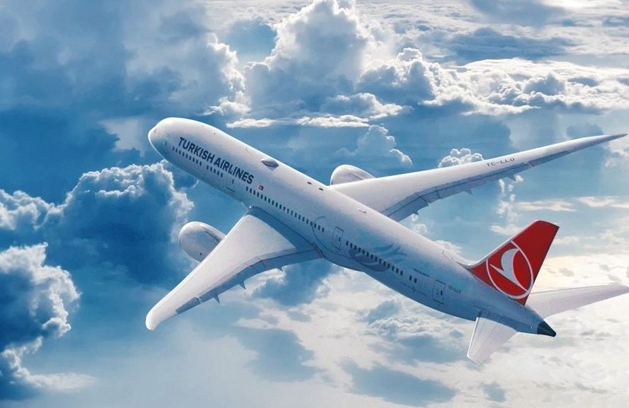 Turkish Airlines <b>(Instagram @turkishairlines)</b>