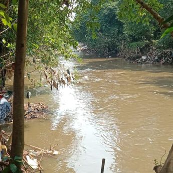 Kategori Sungai di Jakarta Masih Tercemar Meski Ada Penurunan