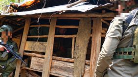 Satuan Tugas (Satgas) Operasi Damai Cartenz-2026 menemukan 559 selongsong peluru kaliber 5,56 milimeter beserta sejumlah barang lain saat menyisir sebuah honai di kawasan hutan Kabupaten Intan Jaya, Papua Tengah.