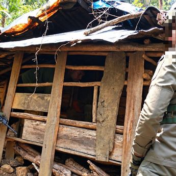 Satgas Damai Cartenz Temukan dan Musnahkan Honai Diduga Persembunyian KKB di Intan Jaya