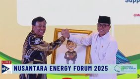 Menurut Yandri, potensi sumber energi nasional banyak sekali yang berasal dari desa, meski banyak desa yang masih gelap gulita. Sebut saja energi mikrohidro, panel surya, sampai geotermal.


