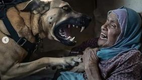 Sebuah video yang viral di media sosial menunjukkan anjing milik Israel menyerang seorang wanita tua Palestina yang tidak berdaya.