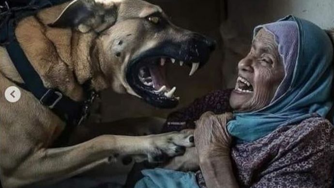 Ilustrasi Warga Palestina di Serang Anjing Israel