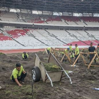 Rumput GBK Direvitalisasi Demi Timnas Indonesia di Kualifikasi Piala Dunia 2026