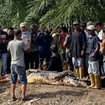 Niat Mancing, Pria Ini Malah Tewas Diterkam Buaya di Riau