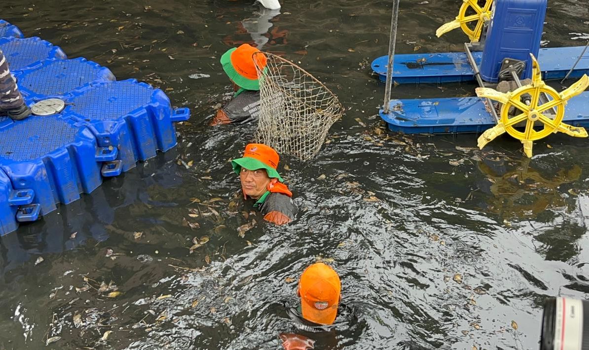 Penangkapan ikan sapu-sapu <b>(NTVNews.id/Adiansyah)</b>