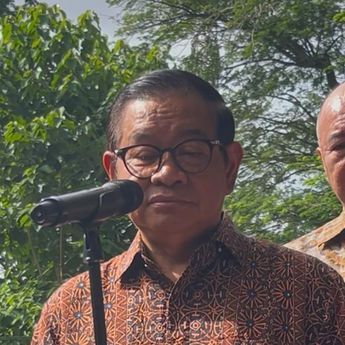 Pramono Tanggung Sendiri Pakan Harimau Miliknya yang Dititipkan di Ragunan