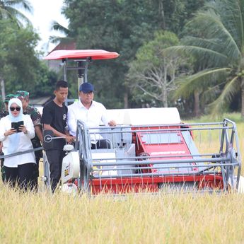 Harga Gabah Anjlok, Wamentan Meradang