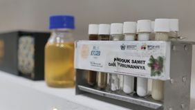 Founder dan Direktur Eksekutif Palm Oil Agribusiness Strategic Policy Institute (PASPI), Tungkot Sipayung, menyampaikan bahwa Indonesia berpeluang untuk menjadi negara yang memiliki peran strategis dalam memenuhi kebutuhan minyak nabati dunia.