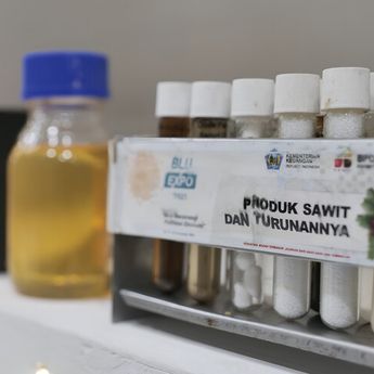 Kebutuhan Minyak Nabati Dunia Naik, Sawit Diprediksi Sumbang 60 Persen pada 2050