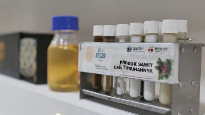 kelapa sawit diproyeksikan akan berkontribusi sekitar 60 persen untuk memenuhi kebutuhan minyak nabati global pada tahun 2050 mendatang.