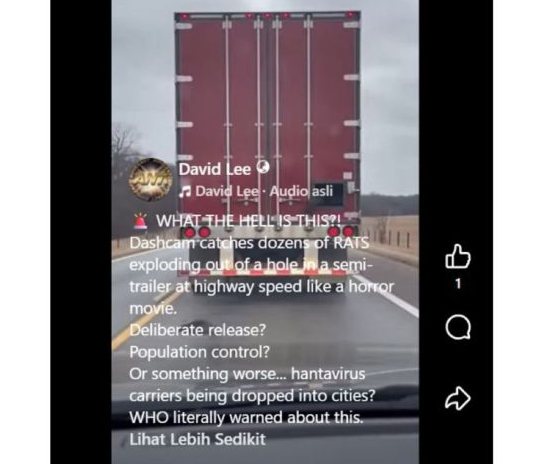 Unggahan video yang menarasikan tikus terinfeksi hantavirus sengaja disebar truk di jalan. Faktanya, video tersebut merupakan hasil AI. (Facebook) <b>(Antara)</b>