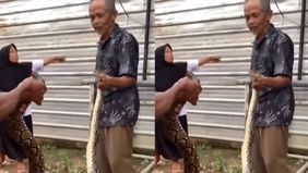 Warga banyumas Jawa Tengah dikejutkan dengan penemuan ular berkepala dua. Hal tersebut menjadi viral di media sosial.