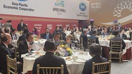 Forum APEC, Mendag: Indonesia Komitmen Kembangkan Pasar Kredit Karbon