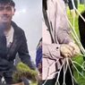 VIDEO: Bobotoh Preteli Rumput dan Jaring Gawang Stadion Gelora Bandung Lautan Api