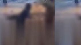 Sedikitnya sembilan orang dilaporkan meninggal dunia setelah sebuah jembatan di atas sungai tiba-tiba runtuh di negara bagian Gujarat
