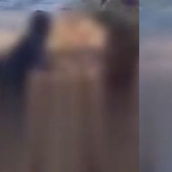 Ngeri, Jembatan Ambruk Makan Korban Jiwa