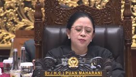 Puan Maharani yang merupakan Ketua Anggota DPR RI mengungkapkan bahwa Rancangan Undang-undang (RUU) Polri belum akan dibahasa oleh DPR.