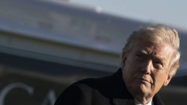 Trump Sebut Sekutu Timur Tengah Lebih Baik dari NATO, Singgung Dukungan untuk UEA