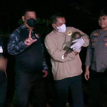 Polisi Selamatkan Induk dan Anak Orang Utan Terdampak Karhutla di Kalimantan Tengah