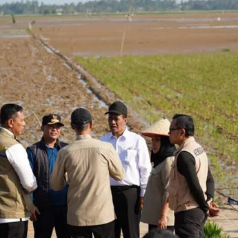 Topang Swasembada Pangan, Pemerintah Percepat Pemulihan Lahan Pascabencana Sumatera