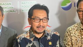 Badan Pangan Nasional (Bapanas) mengusulkan program bantuan pangan penanganan stunting dilanjut pada tahun 2025 mendatang.
