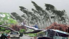 Topan Yagi menghancurkan ribuan rumah dan bangunan, menumbangkan tiang listrik, merusak pohon-pohon, serta ratusan ribu hektare tanaman pertanian di Vietnam bagian utara 