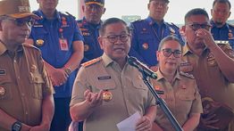 Cerita Pramono Panggil Damkar Gegara Ada Kucing Kawin di Rumah