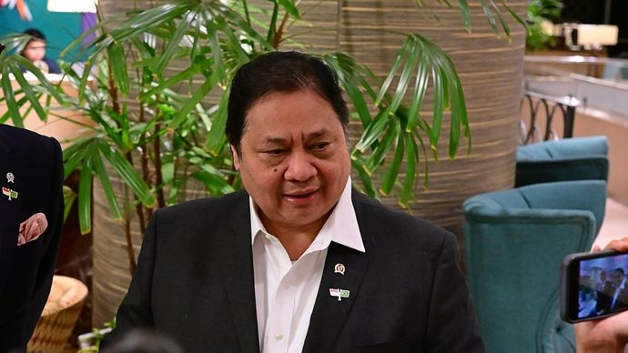 Menko Perekonomian Airlangga Hartarto/Ist
