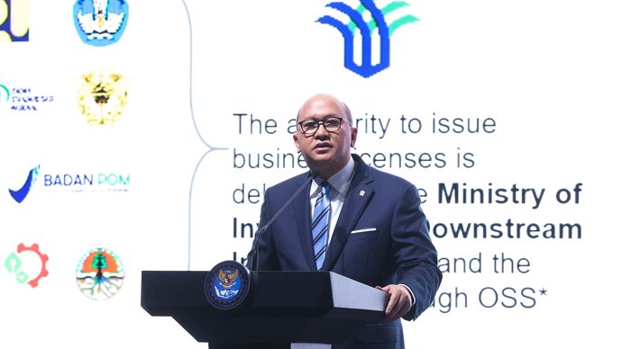 Menteri Investasi dan Hilirisasi/Kepala BKPM sekaligus CEO Danantara, Rosan Roeslani