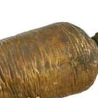 Fosil Spesies Dinasaurus Terbesar di Muka Bumu Ditemukan