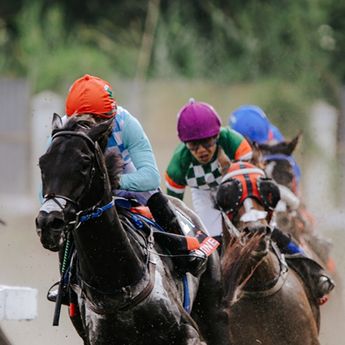 Sulitnya Dapat Gelar Triple Crown di Arena Pacuan Kuda, Mungkinkah Menular ke Indonesia?