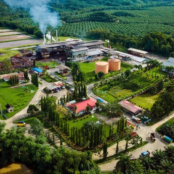 Tak Ada yang Terbuang, Seluruh Bagian Sawit Bisa Disulap Jadi Sumber Energi