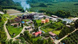 Biogas dari Limbah Sawit Bisa Jadi Andalan Baru Energi Terbarukan RI