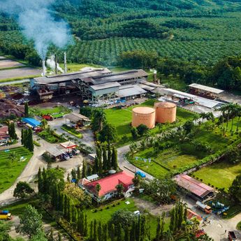 Biogas dari Limbah Sawit Bisa Jadi Andalan Baru Energi Terbarukan RI