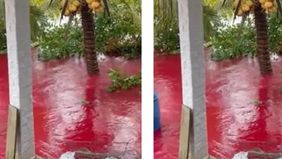 Air banjir memiliki warna cokelat pekat. Namun, situasi berbeda terjadi di Kampung Telaga Bata.