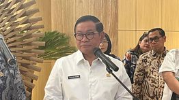 Pramono: Total 7 Mobil Rusak Tertimpa Pohon Tumbang di Jakarta