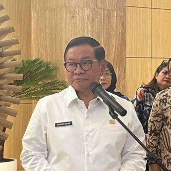 Pramono: Total 7 Mobil Rusak Tertimpa Pohon Tumbang di Jakarta