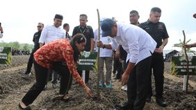 Wakil Menteri Pertanian (Wamentan), Sudaryono menargetkan Provinsi Riau menjadi daerah percontohan terbaik dalam program tumpang sari jagung dan cabai di lahan perkebunan sawit. 