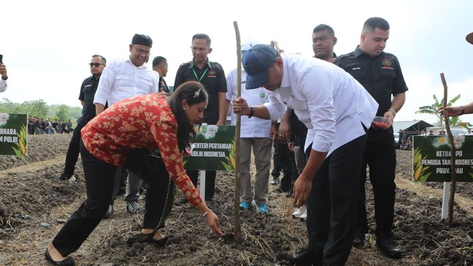 Wakil Menteri Pertanian (Wamentan), Sudaryono menargetkan Provinsi Riau menjadi daerah percontohan terbaik dalam program tumpang sari jagung dan cabai di lahan perkebunan sawit/Ist