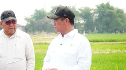 Kementan: 3.233 Hektare Sawah di Lamongan Diselamatkan dari El Nino